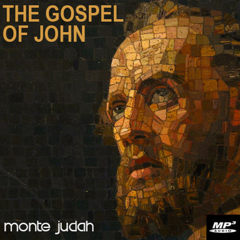 The Gospel of John Part 11  (Digital Download MP3)