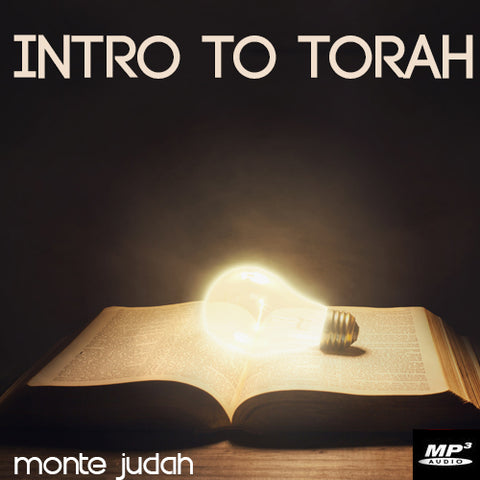 Intro to Torah Part 2  (Digital Download MP3)